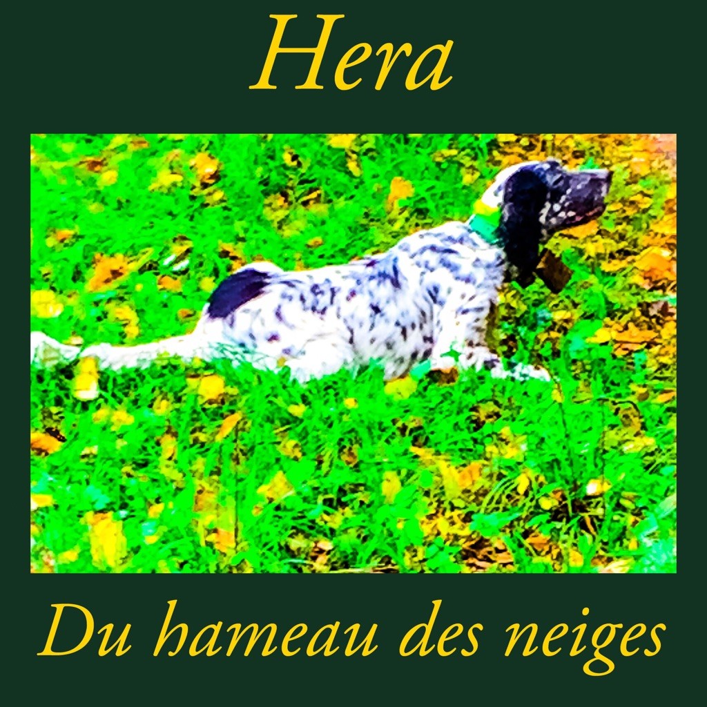 Hera du hameau des neiges